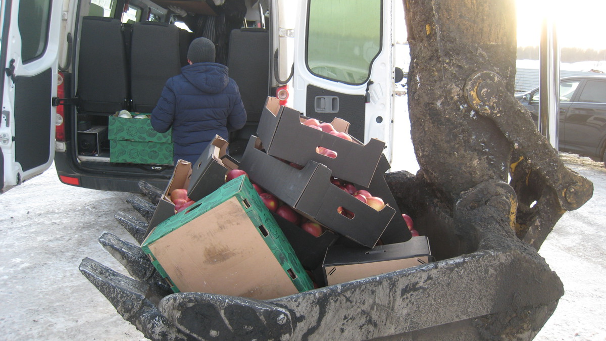 Под Ярославлем раздавили больше тонны санкционных фруктов и овощей