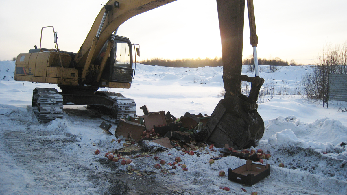Под Ярославлем раздавили больше тонны санкционных фруктов и овощей