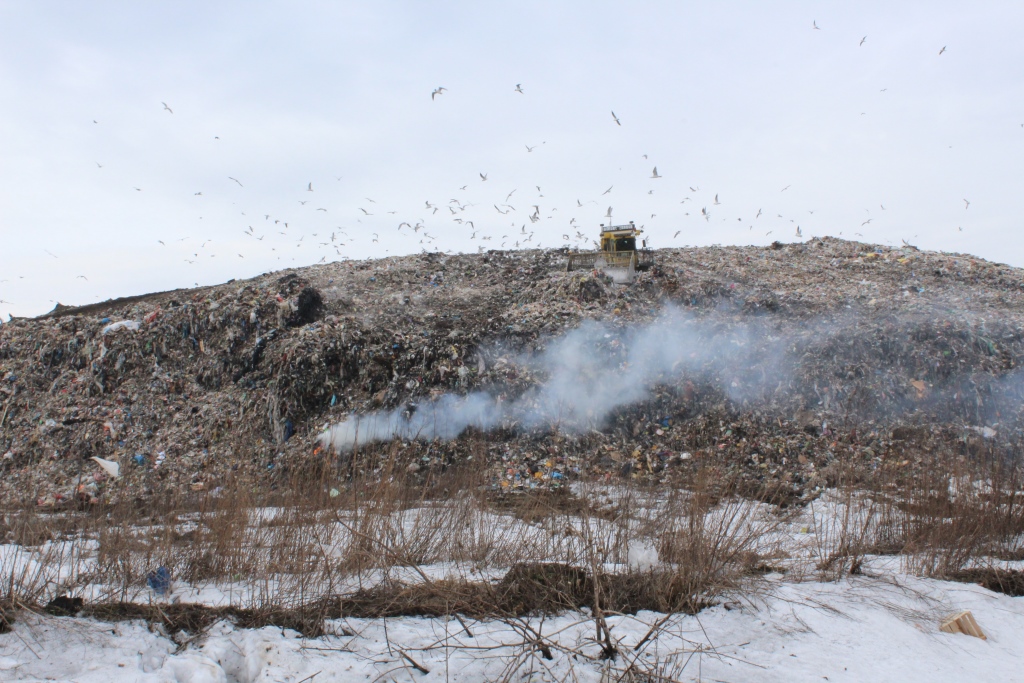 Основная версия возгорания на мусорном полигоне под Ярославлем – поджог