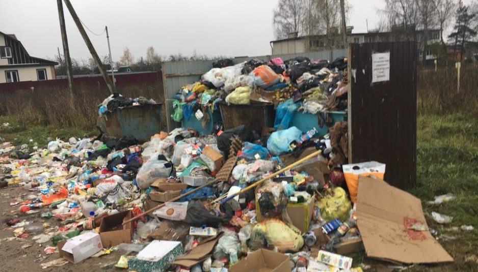Дмитрий Петровский о мусорной проблеме: эта тема скорее опасна политически, чем онкологически