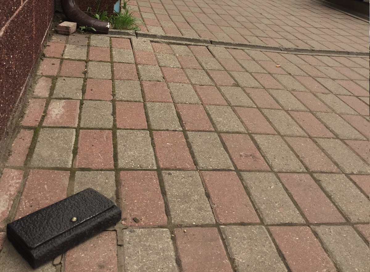 Жители и гости Ярославля безуспешно пытаются подобрать с тротуара металлический бумажник