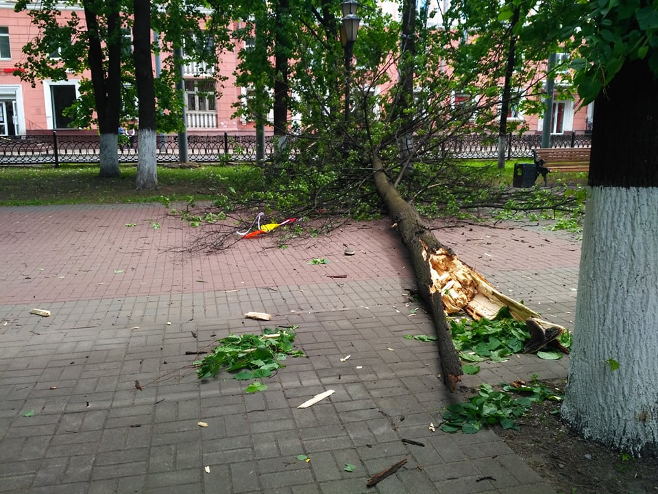 В Ярославле ветром сдуло остановку общественного транспорта