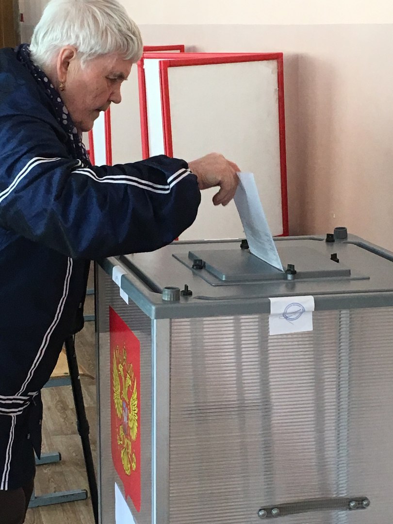 Трансформер, собачки и дешевые пирожки: как в Ярославской области проходит предварительное голосование