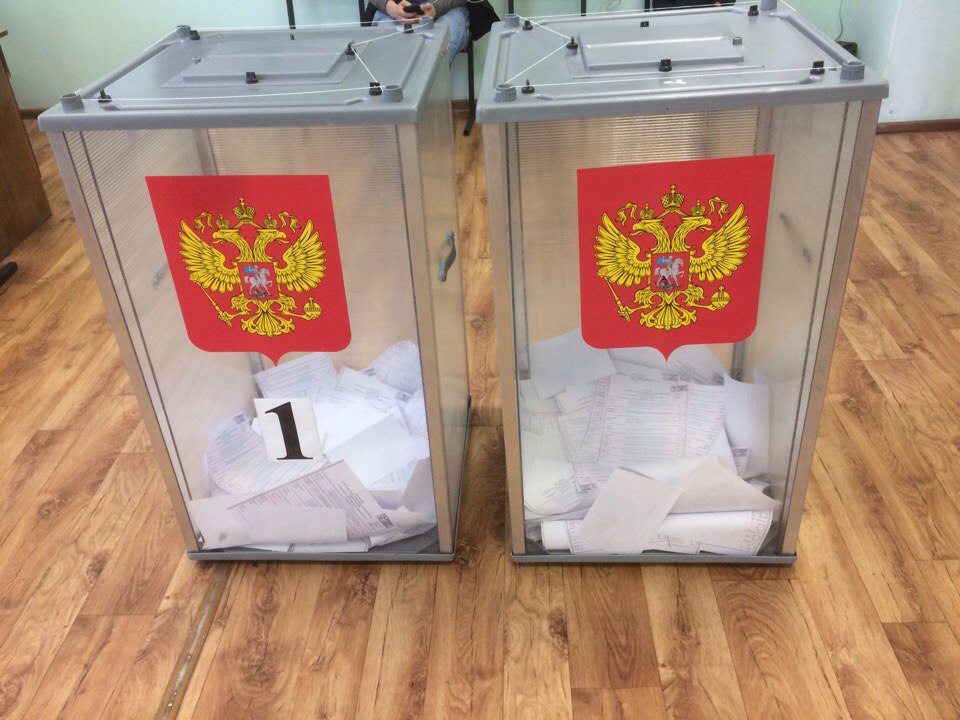 В Ярославской области подвели итоги предварительного голосования