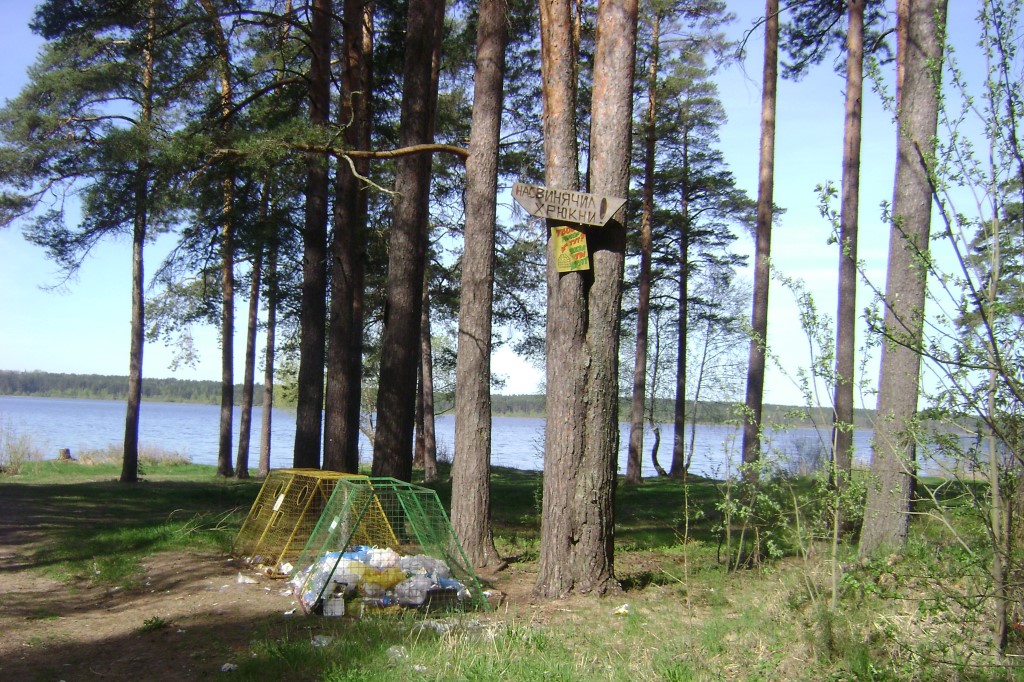 Нарушители режима особо охраняемой природной территории «Высоковский бор» в Рыбинском районе заплатят штраф