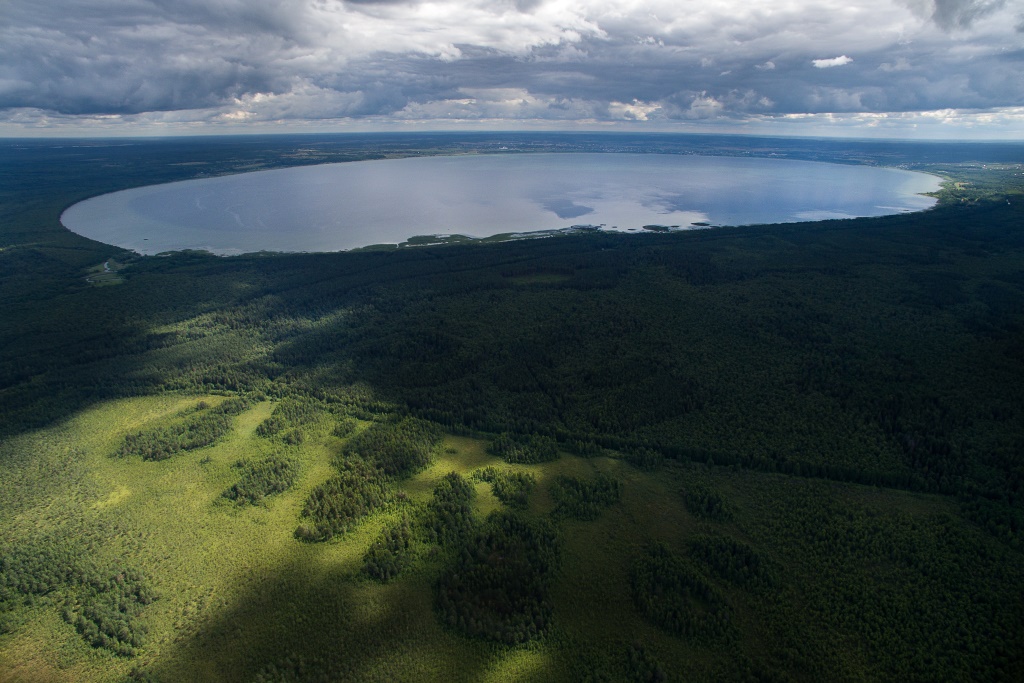 На территории национального парка «Плещеево озеро» высажено более 64 тысяч саженцев ели