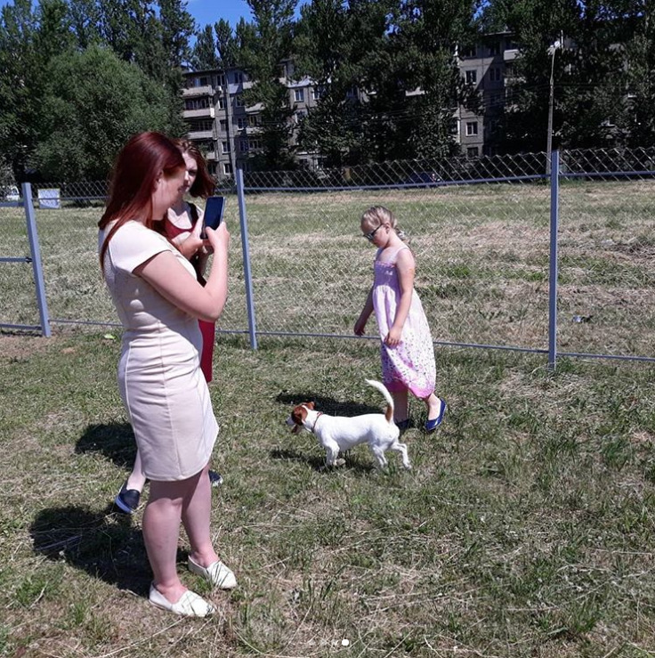 В Ярославле открылась новая площадка для выгула собак