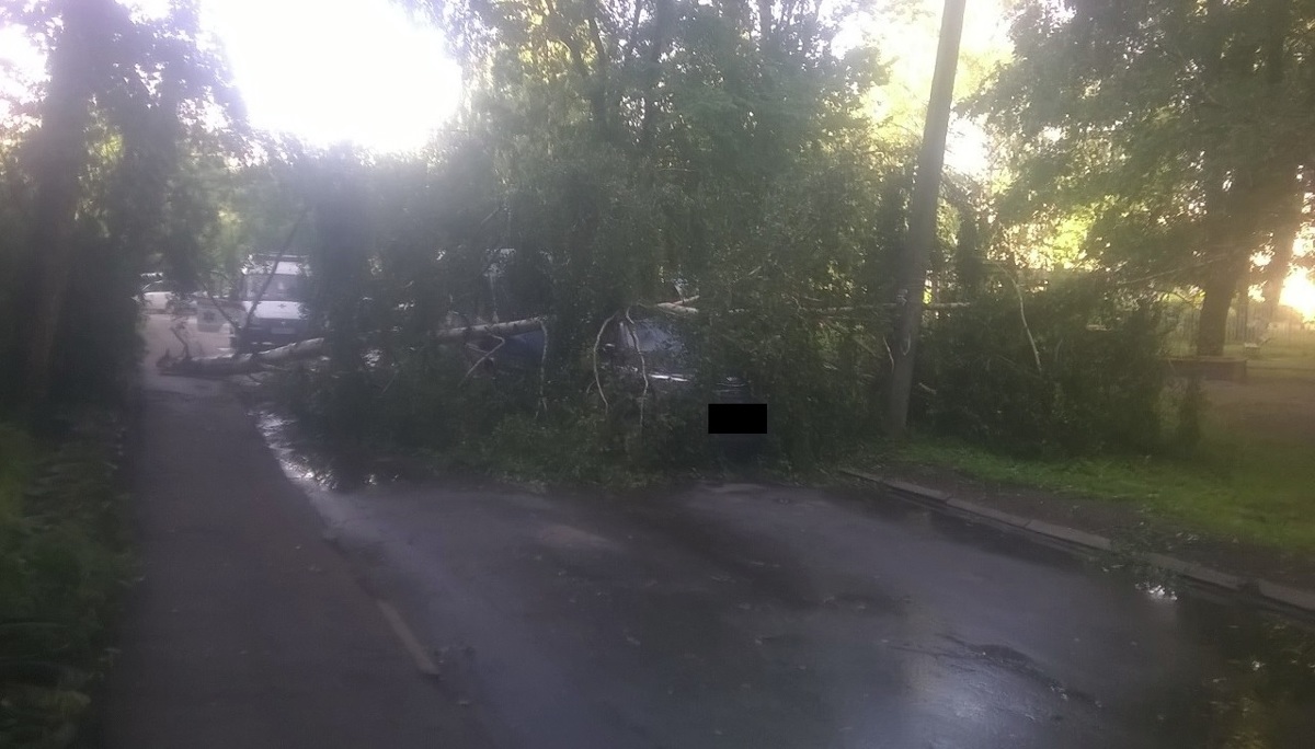 В Ярославле молния ударила в дом, а деревья падали на автомобили и детские городки