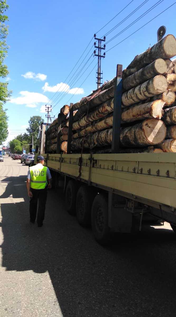 Нарушитель лесного законодательства заплатит штраф в размере 700 тысяч рублей