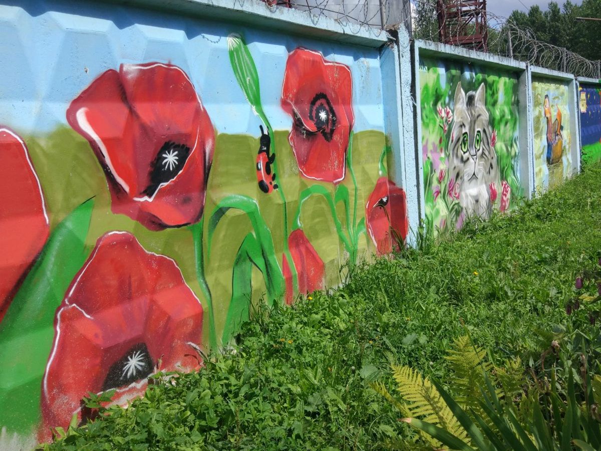 В Ярославле уличные художники разукрашивают Фрунзенский район