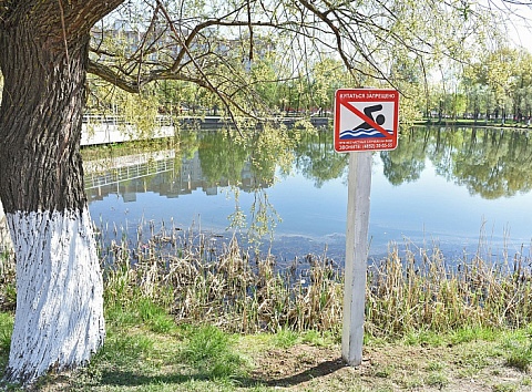 На всех пляжах Ярославля запрещено купание – мэрия