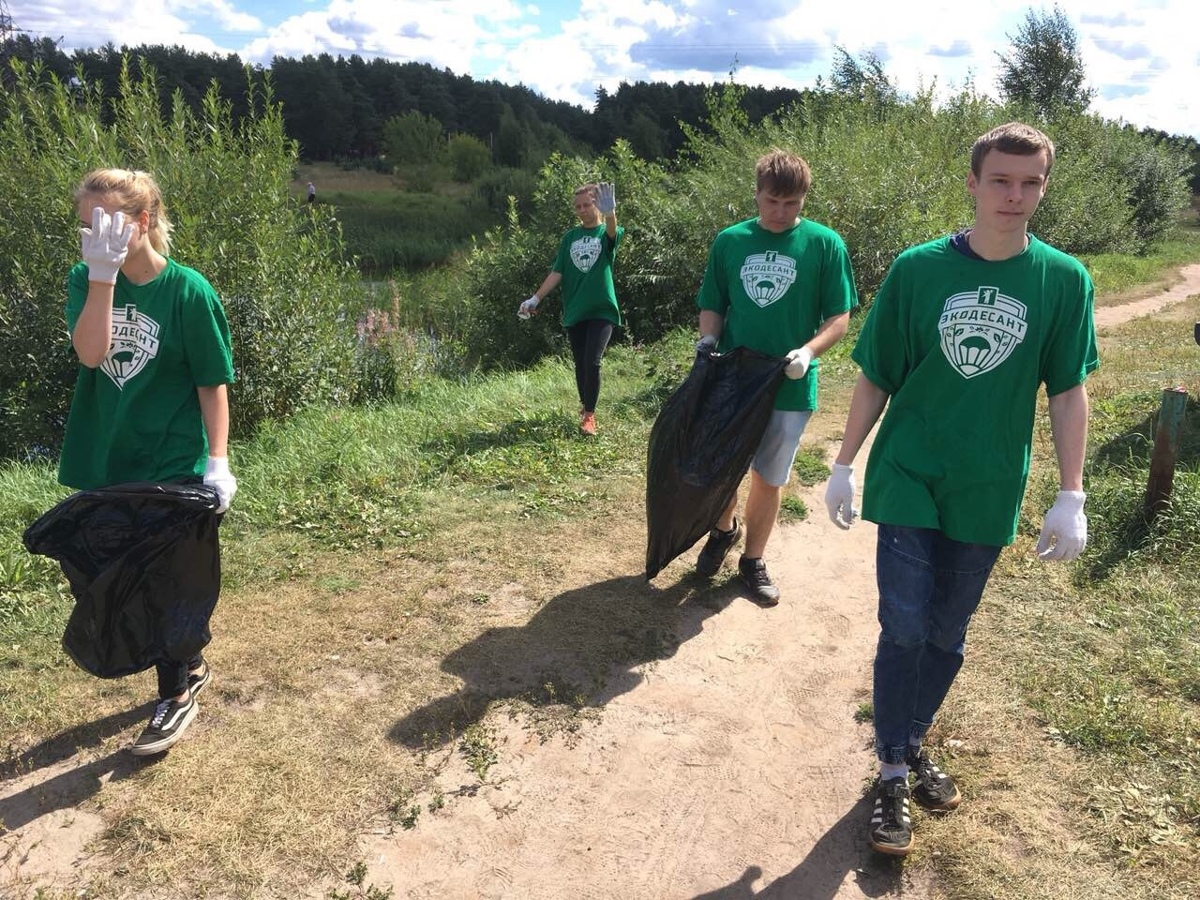 Волонтеры «Экодесанта» очистили 60 территорий в Ярославской области