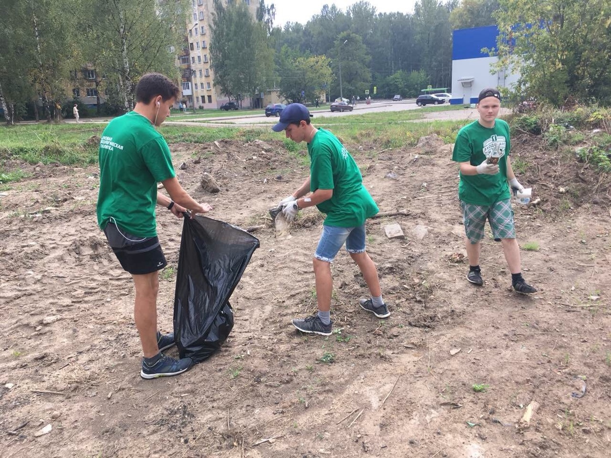 Ярославские волонтеры очистили лес за Волгой от мусора