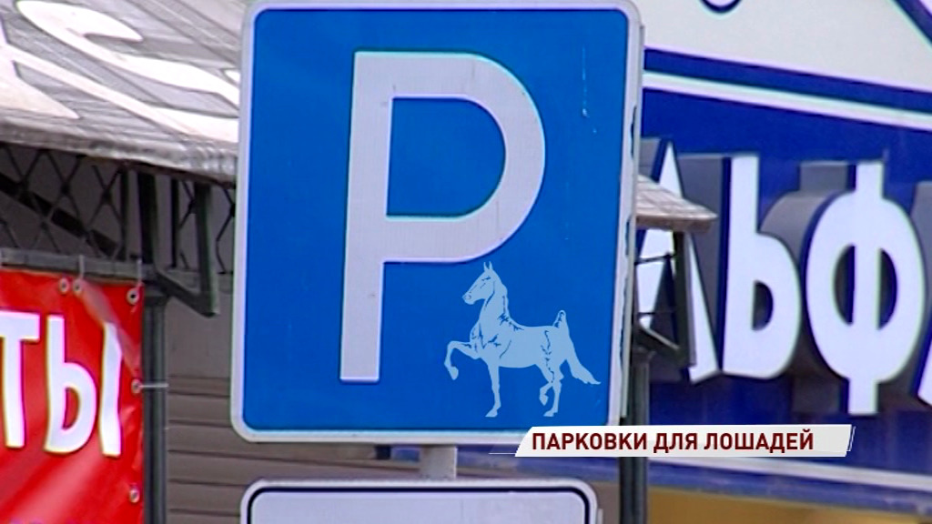 6 октября в Ярославле появятся парковки для лошадей