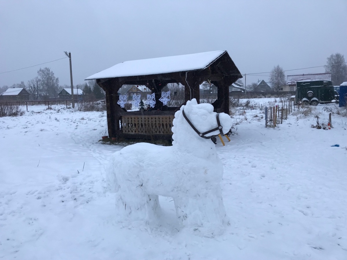 В Ярославской области появляются креативные снеговики