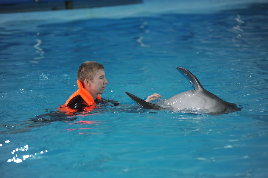 Ярославец благодаря «Елке желаний» поплавал с дельфинами