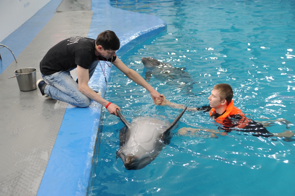 Ярославец благодаря «Елке желаний» поплавал с дельфинами
