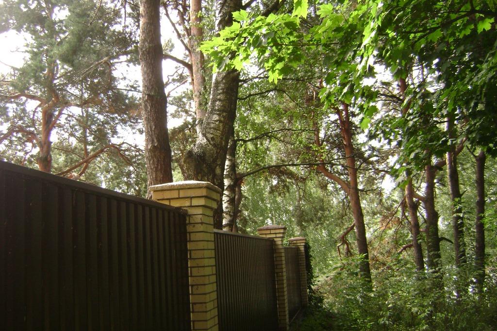 Забор, незаконно установленный в Петровском городском парке Рыбинска, будет снесен