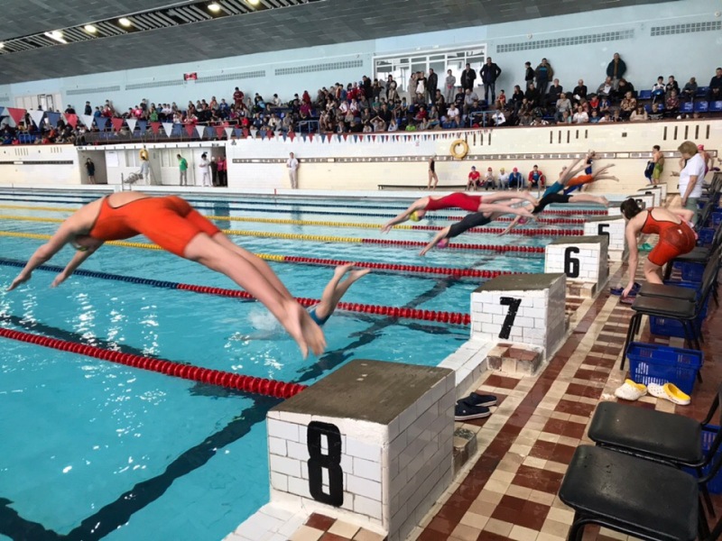 В Ярославской области проходит межрегиональный турнир по плаванию