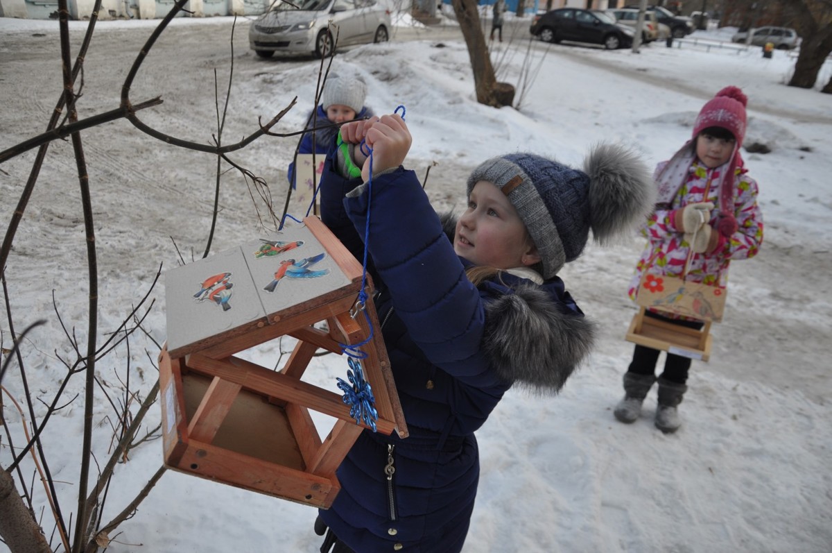 В Ярославской области проходит природоохранная акция «Покормите птиц зимой»