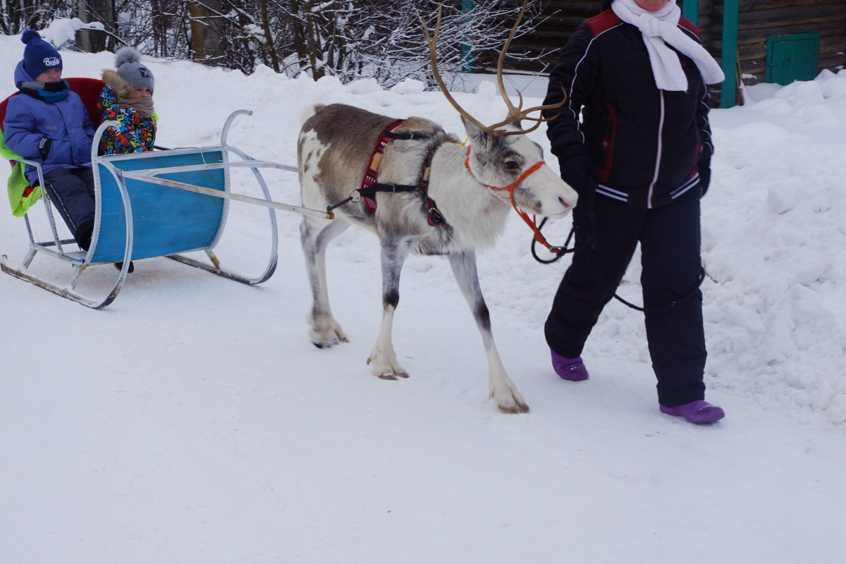 Зимний праздник «Снежинка Лахости» в Гаврилов-Ямском районе посетили около трех тысяч гостей