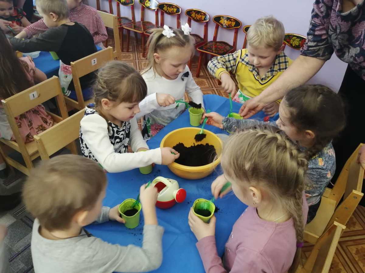 Ярославские ребята сами выращивают растения на занятиях по экологии