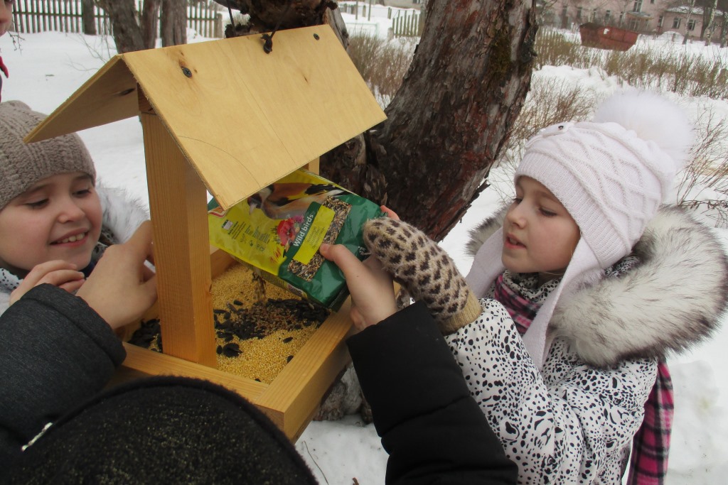 Во всероссийской акции «Покормите птиц зимой» приняли участие более 900 ярославцев