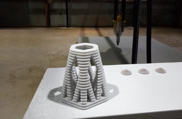 На ярославском 3D принтере напечатают кораллы для корейских рыбок