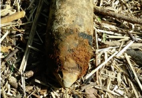 В Ярославской области на берегу реки нашли артиллерийский снаряд
