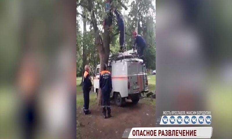 В Ярославле спасатели снимали ребенка с дерева