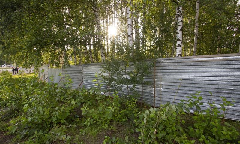 Строительство рядом с рощей в Рыбинске не нанесет ущерба зеленой зоне