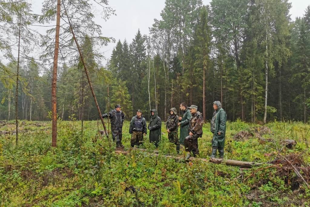 В Ярославской области внедрена новая система мониторинга сохранения лесных ресурсов