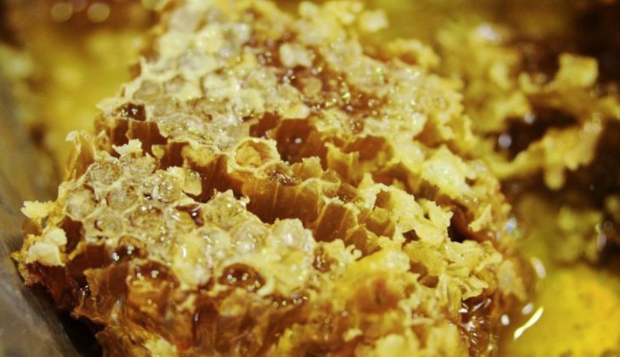 Остерегайтесь подделок: ярославские пчеловоды назвали виды меда, которого не существует