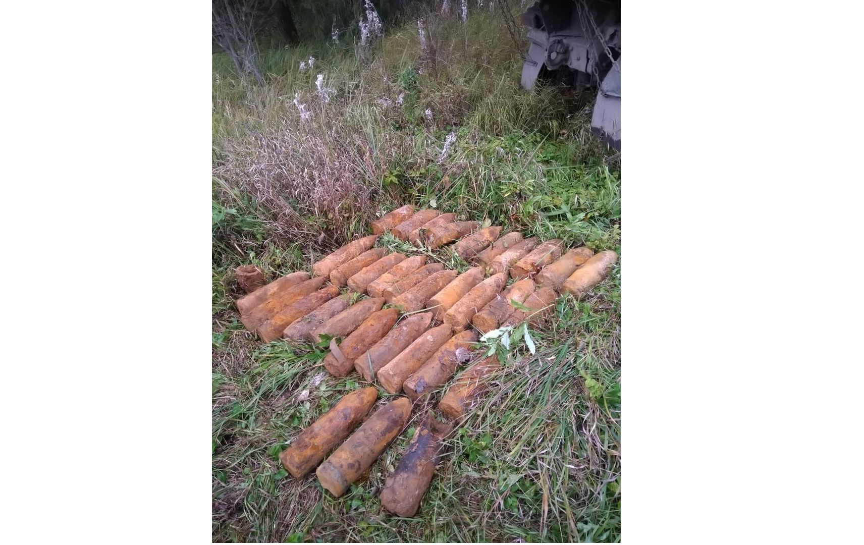 В Ярославской области у железной дороги нашли три десятка снарядов времен Отечественной войны