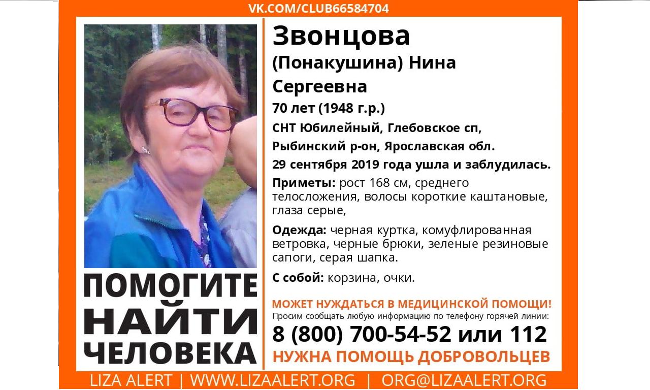 В Ярославской области ищут заблудившуюся пенсионерку