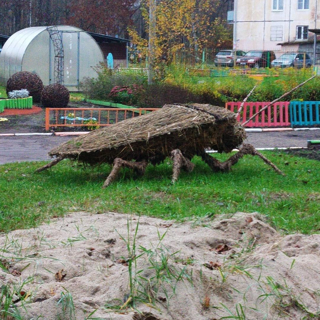 «Не таракан, а светлячок»: гигантский жук пугает взрослых в ярославском садике