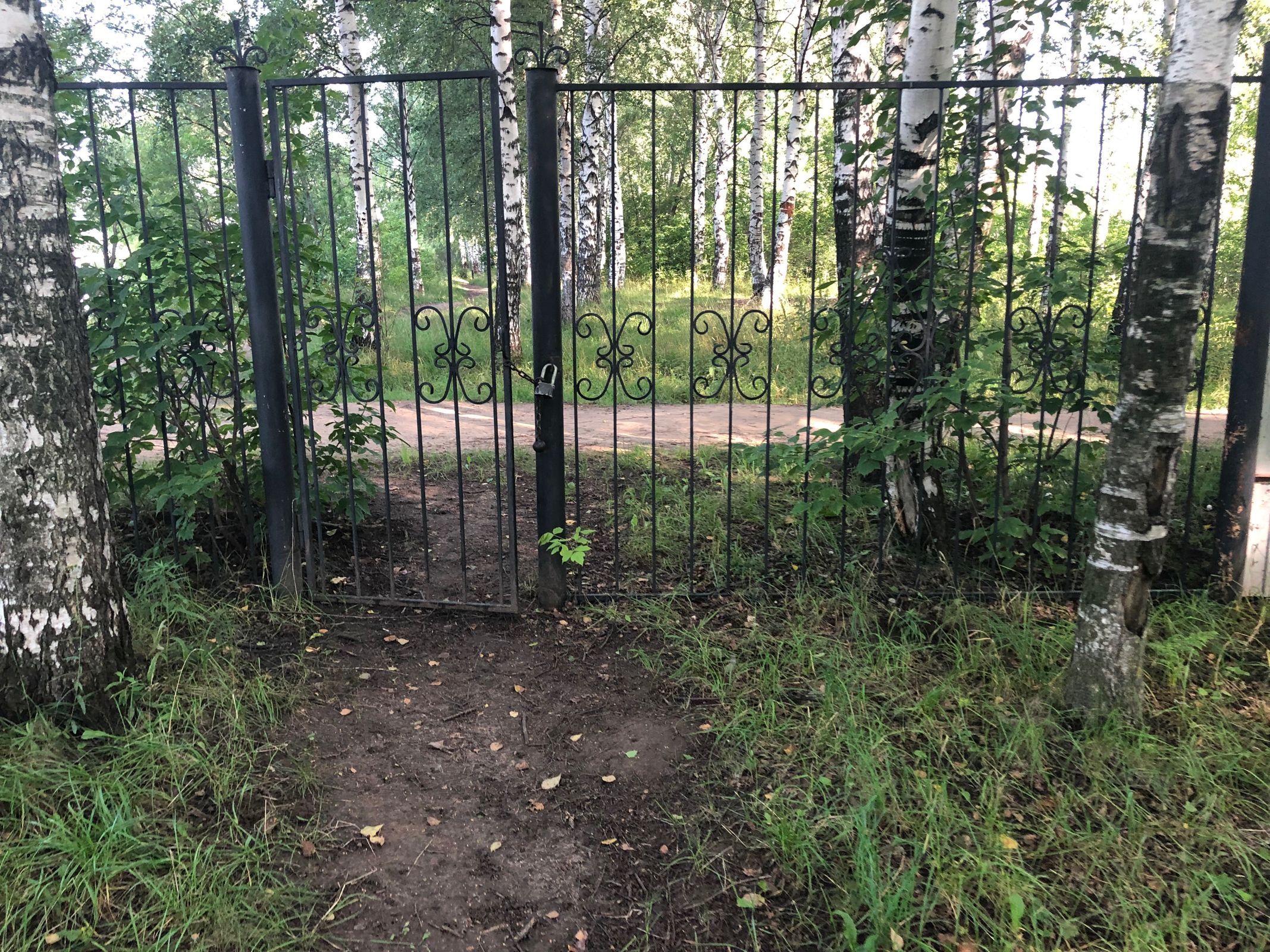В Ярославле спортклуб обвинили в незаконном захвате участка земли напротив Стрелки