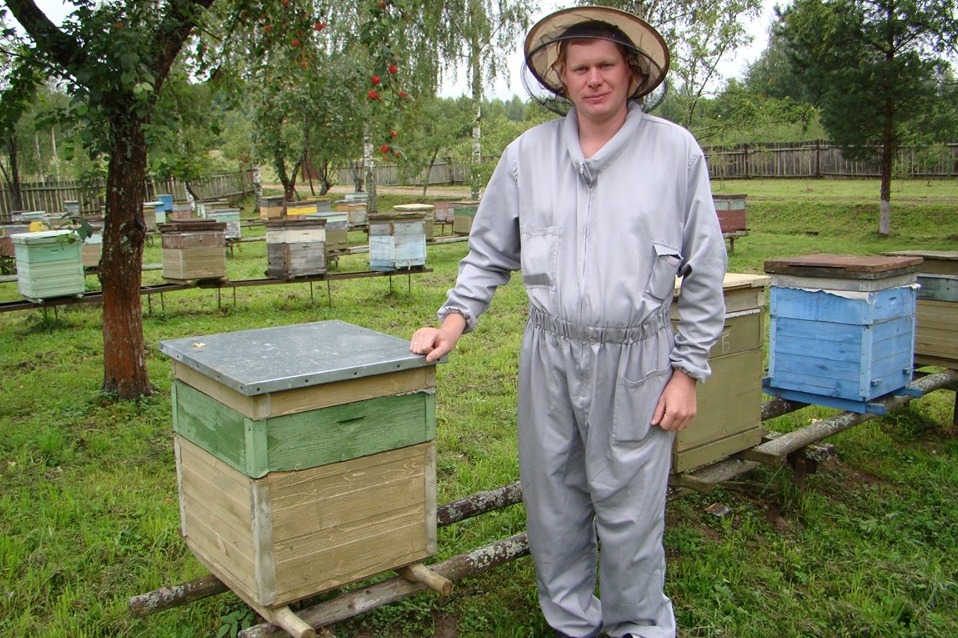 Пчеловодство станет одним из приоритетных направлений АПК Ярославской области