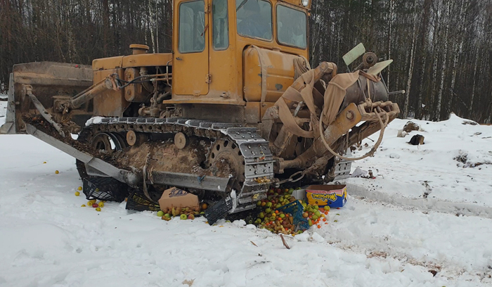 Ярославские таможенники изъяли 340 килограммов сомнительных фруктов и овощей