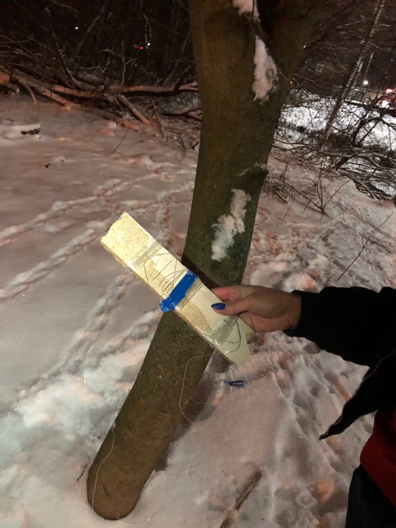 В Ярославле на уток охотятся, как на рыб