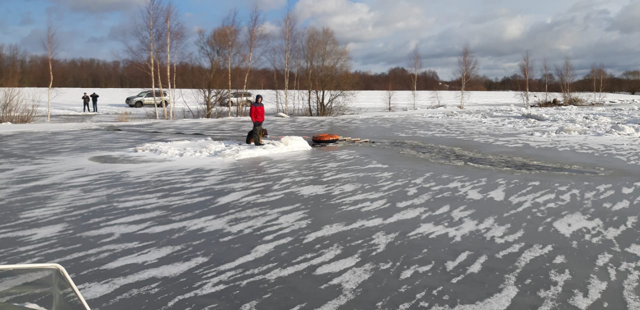 Под Ярославлем мужчина бросился на льдину выручать собаку, но спасать пришлось их обоих