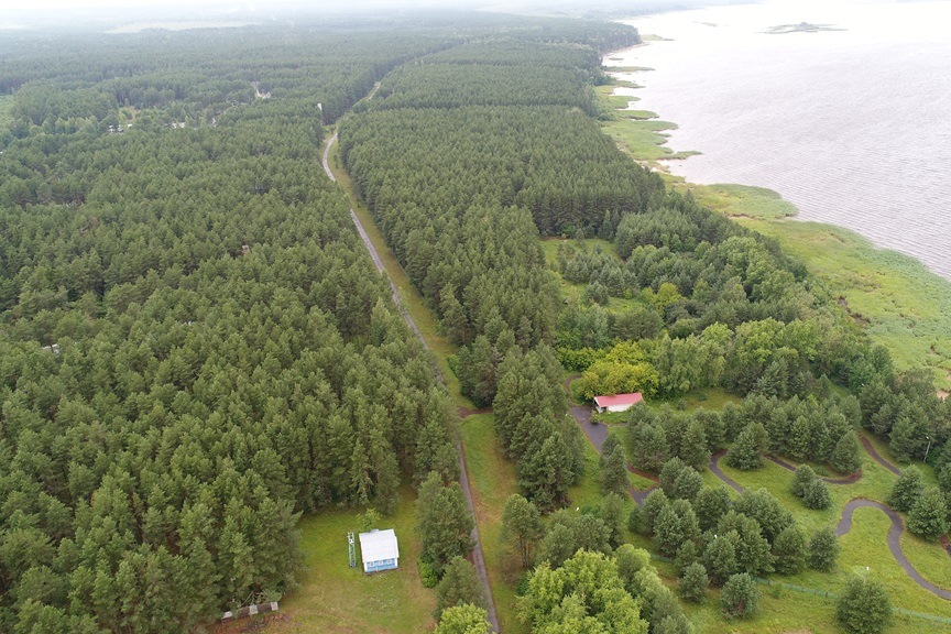 Площадь лесопаркового зеленого пояса Ярославля увеличилась на 77 гектаров