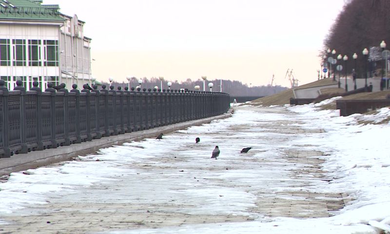 Администрация Ярославля оценила предварительный ущерб от затопления Волжской набережной