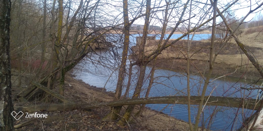 Информация​ о загрязнении Фоминского ручья в Рыбинском районе не подтвердилась