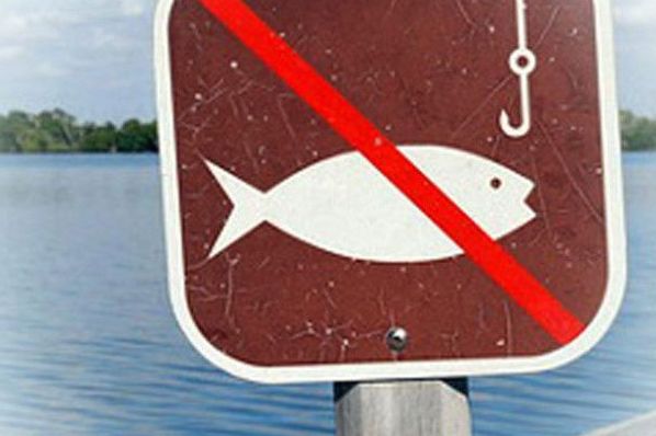 В связи с началом нереста в Ярославской области вводятся ограничения на рыбную ловлю
