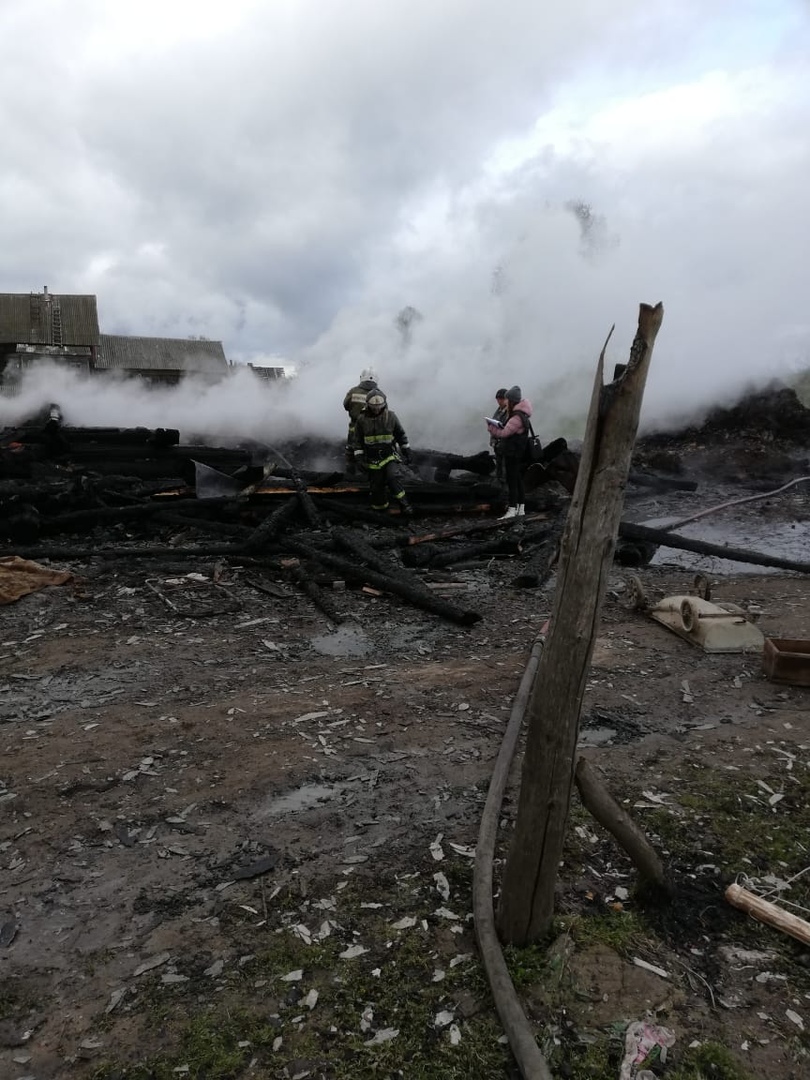 В Ярославской области на пожаре погибли три ребенка и пожилая женщина