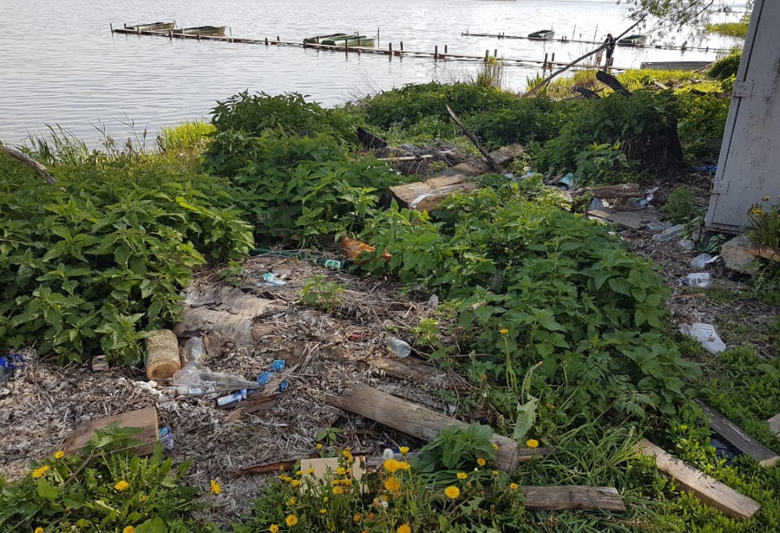 Несанкционированного слива канализационных стоков в озеро Неро в Ростове не обнаружили