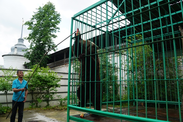 Депутаты в Ярославле пришли с гостинцами к медведице Маше