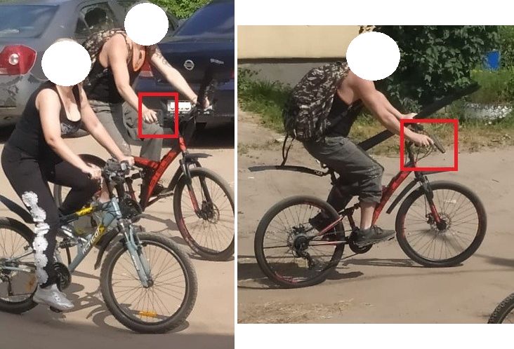 В Ярославской области велосипедист попал в женщину, стреляя в собаку