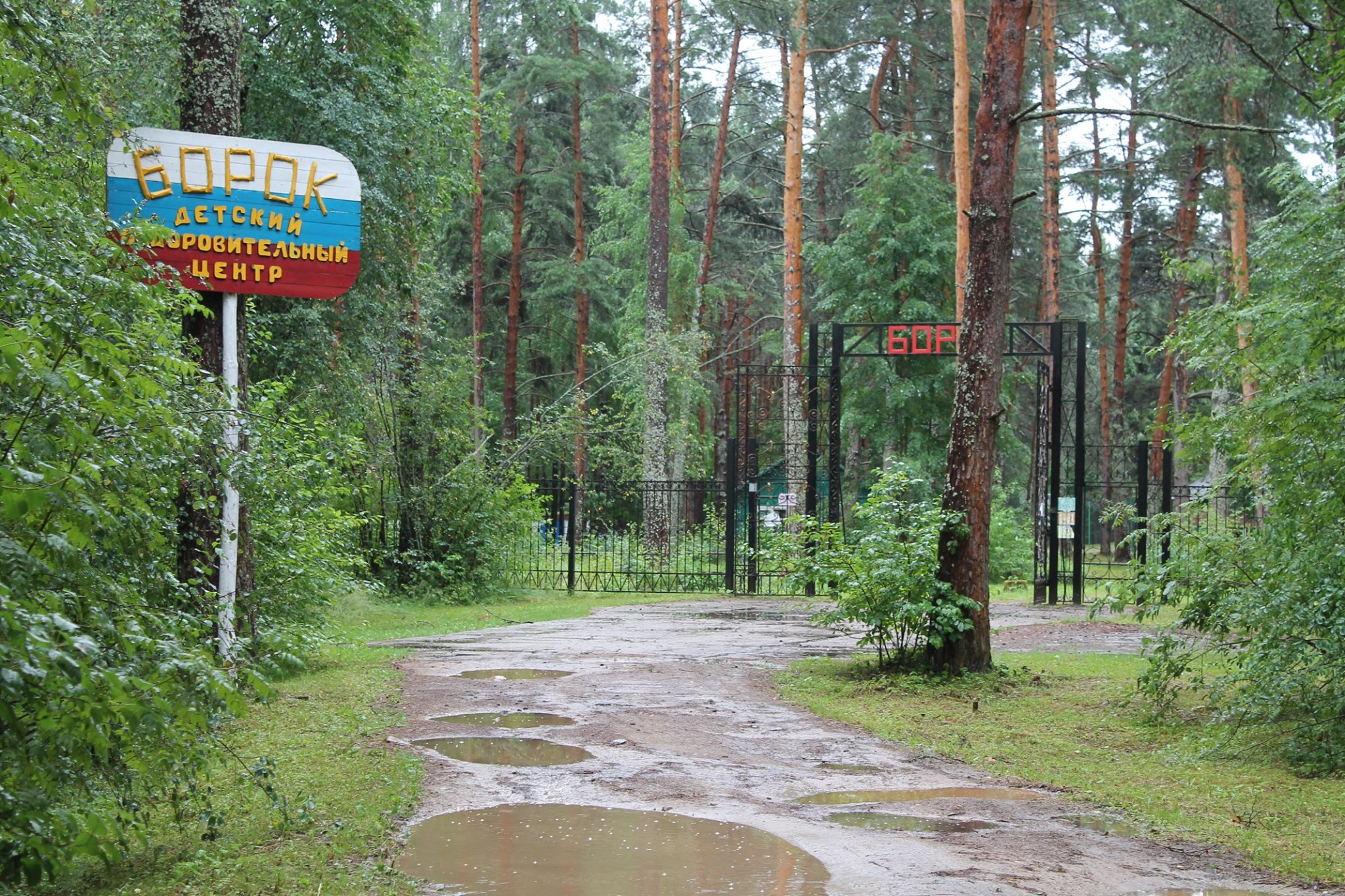 Лагеря Ярославской области проверил детский омбудсмен